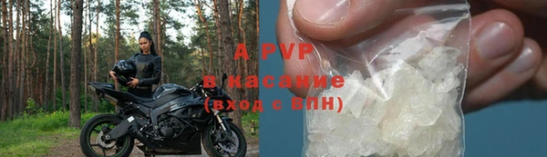 стафф Алексин