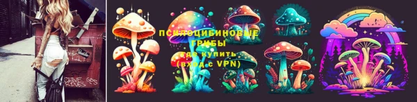 стафф Алексин
