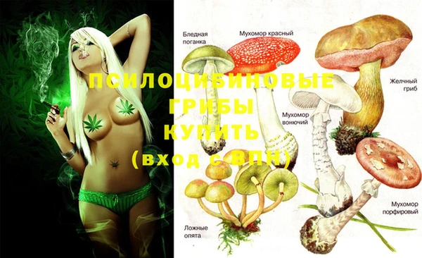 кокс Алексеевка