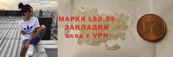 стафф Алексин