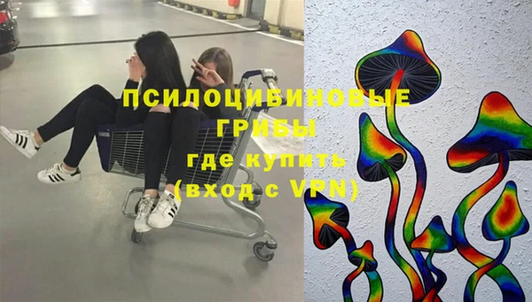 стафф Алексин